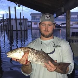 Meet your Posher, Austin